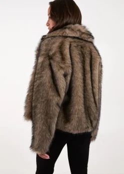 Blue Vanilla Brown Short Plush Fur Coat
