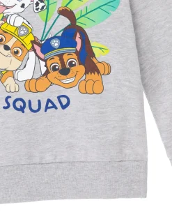 Paw Patrol Advernture Squad Kids Grey Marl Hoodie (3-8 years)