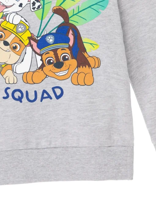 Paw Patrol Advernture Squad Kids Grey Marl Hoodie (3-8 years)