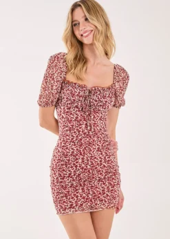 Pink Vanilla Red Puff Sleeve Mesh Mini Dress