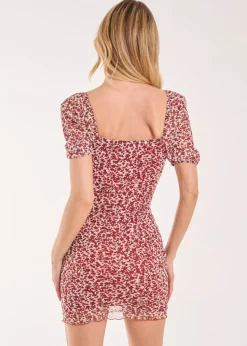 Pink Vanilla Red Puff Sleeve Mesh Mini Dress