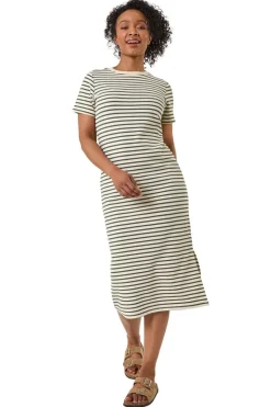 Roman Khaki Petite Stripe Knit Midi Dress