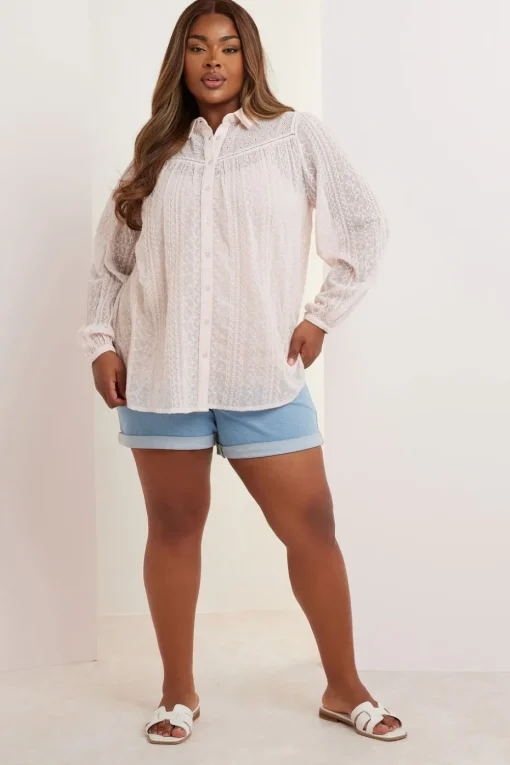Yours Curve Light Pink Sheer Embroidered Blouse